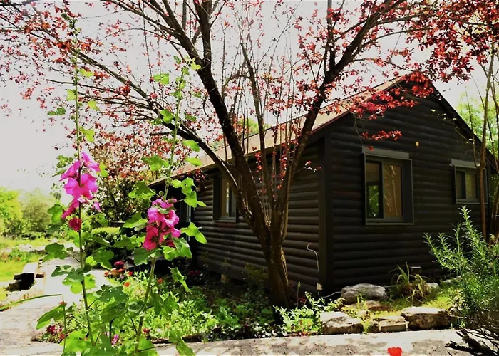 Numa Emek-Countryside Guesthouse In Yokneam Moshava