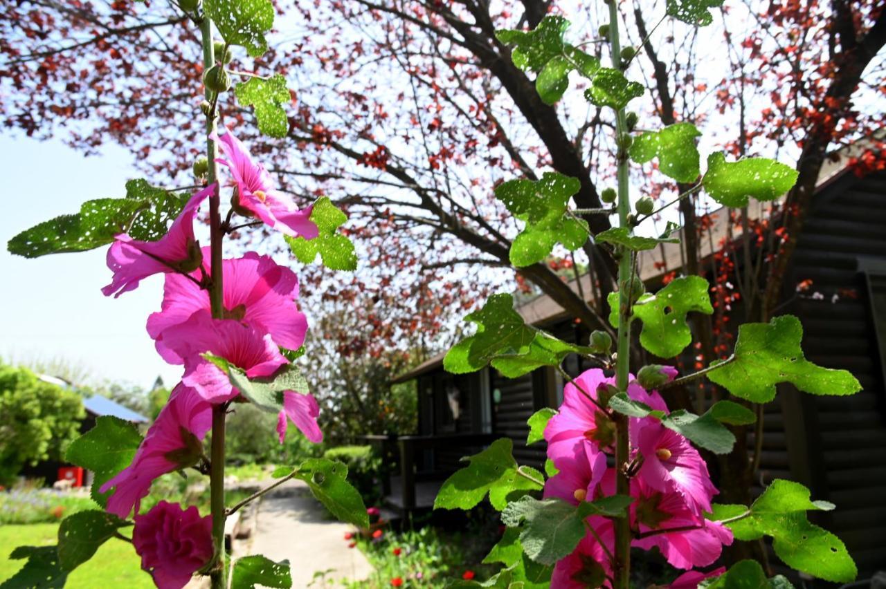 Numa Emek-countryside In Yokneam Moshava Landhaus *