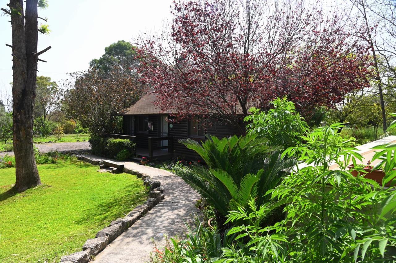 Numa Emek-countryside In Yokneam Moshava Yoqne'am