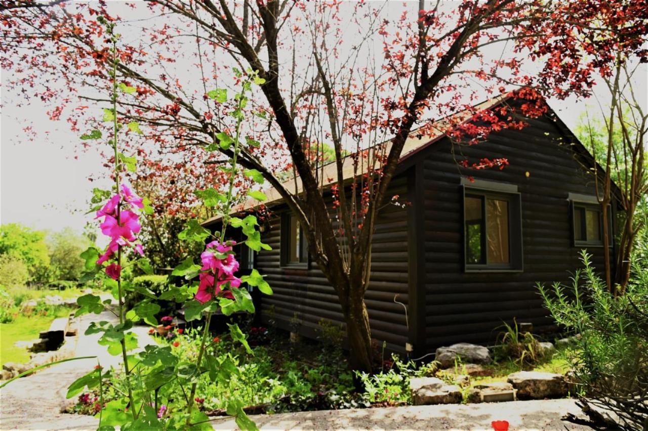 Landhaus Numa Emek-countryside In Yokneam Moshava *